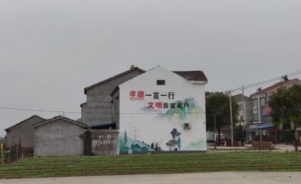 东山新农村墙绘
